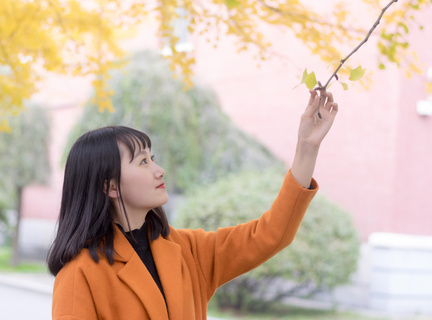 在菲律宾可以办结婚证吗(结婚证办理流程指南)